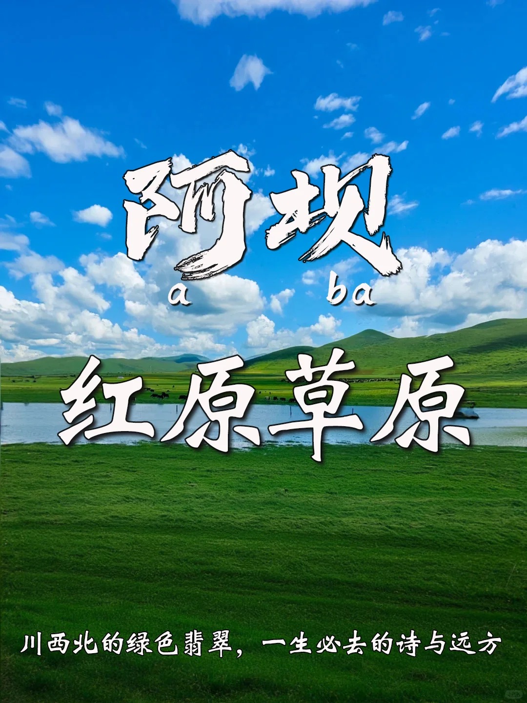阿坝——红原草原，铺展在天地间的壮美史诗_1_乐乐旅行记_红原草原-来自52tours 我爱旅游网